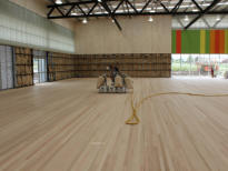 Sports Floors