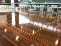 Sports Floors