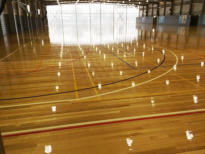 School Hall & Gym Floors