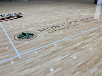 School Hall & Gym Floors