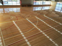 Sports Floors